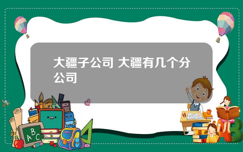 大疆子公司 大疆有几个分公司